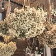 mimoの画像