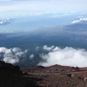 siku