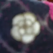 yokoの画像
