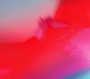 IJの画像