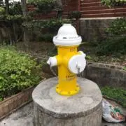 ヨッシーの画像