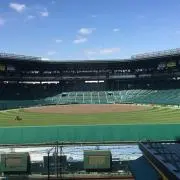 レグルスの画像
