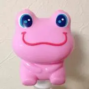 きのこの画像