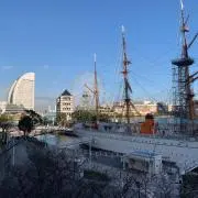 Nari2020の画像