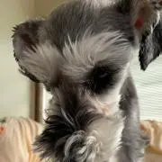じゅんこ