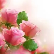 Cocoaの画像