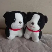 あのっち