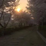 ころんの画像