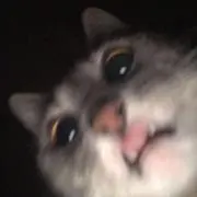 美茄