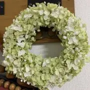 鎌倉小豆の画像