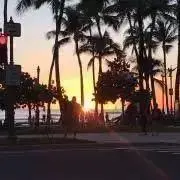 OmmOの画像