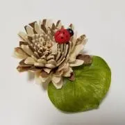 Ladybirdの画像