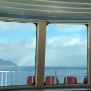 ねの画像