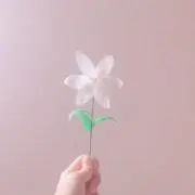 りーちゃんの画像
