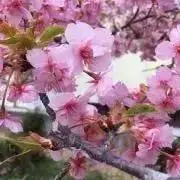 earth    断捨離中です‼︎の画像