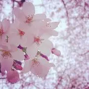 るーな