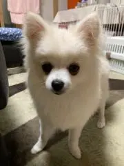 nakamの画像