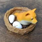 ドッヂビーの画像