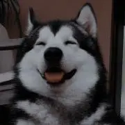 さく