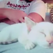 いーりー