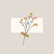 らんこ
