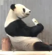 しぃちゃん❤️の画像