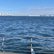 wakaの画像