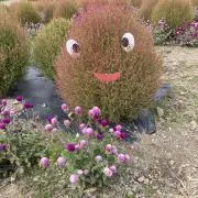 ハルの画像
