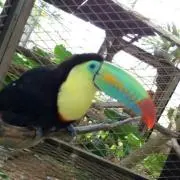 めーの画像