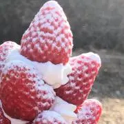 いちごの画像