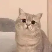 mの画像