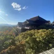 もしもの画像