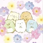 sumikko.:＊プロフ必読の画像