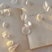 ☆の画像