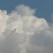 かっかの画像