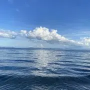 meitaの画像