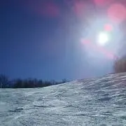 ぺろすけの画像