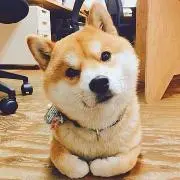 かゆり