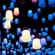 ミントの画像