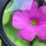 ヒロの画像