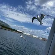 ruruの画像
