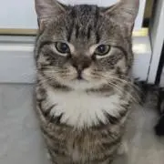 222の画像