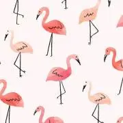lilyの画像