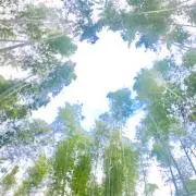 メルたん