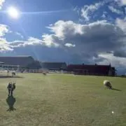 こけしの画像