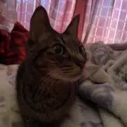 りの画像