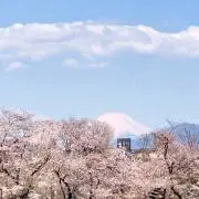 ゆきの画像