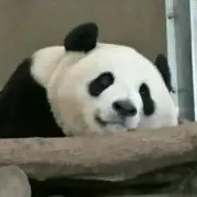 みーたん☆