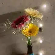 もりっちの画像