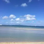 キティの画像